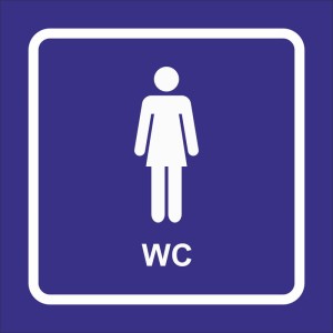 Naklejka TOALETA DAMSKA 10x10cm naklejki WC oznaczenie znaku BHP